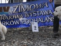 Owczarek Podhalański  Owczarek Podhalański - od lewej: MIGLANC z Zadymy, REZOLUTNY ROGER Psi Detektyw