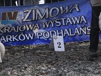 Owczarek Podhalański  Owczarek Podhalański - od lewej: MIGLANC z Zadymy, REZOLUTNY ROGER Psi Detektyw