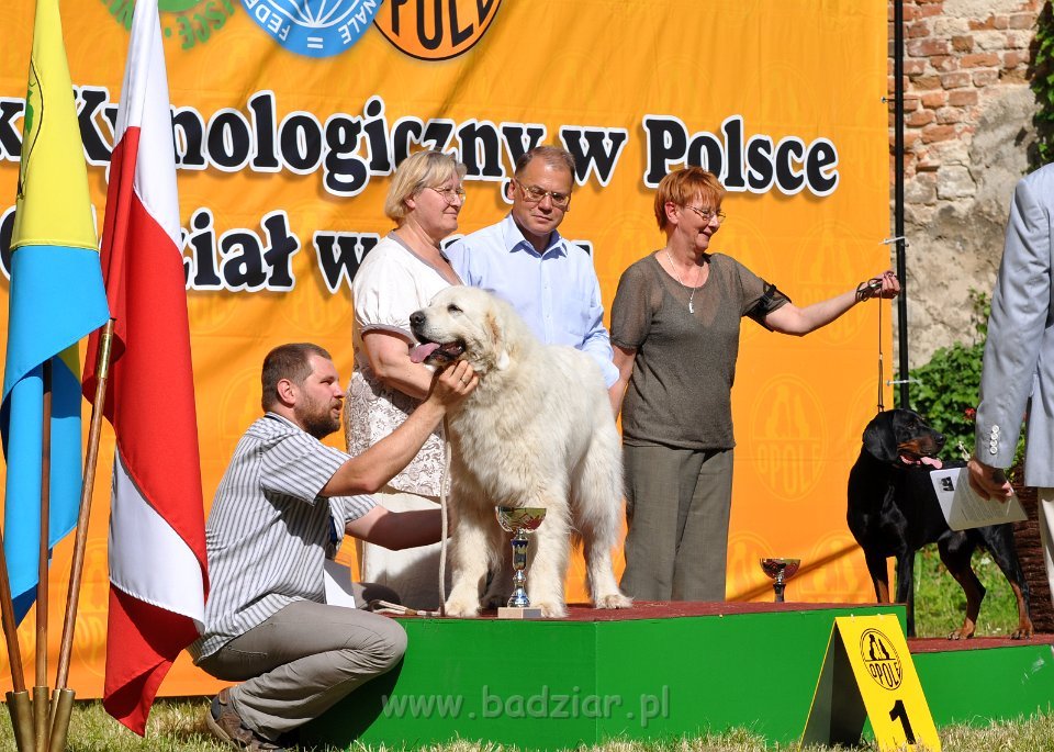 Owczarek Podhalański - Strzelce Opolskie 2014-06-08