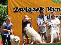 Owczarek Podhalański - Strzelce Opolskie 2014-06-08  Owczarek Podhalański - potomstwo PRZEKORNEJ PROXIMY Badziar (ODWAŻNY OBI ONE Artorius, MOCNA MEJ Artorius, MIŁA MILI Artorius)