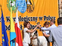 Owczarek Podhalański - Strzelce Opolskie 2014-06-08  Owczarek Podhalański - BIS Junior lok.I BUDRYS Dolina Małej Panwi