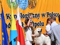 Owczarek Podhalański - Strzelce Opolskie 2014-06-08  Owczarek Podhalański - BIS Junior lok.I BUDRYS Dolina Małej Panwi