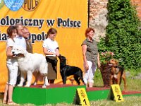 Owczarek Podhalański - Strzelce Opolskie 2014-06-08  Owczarek Podhalański - BIS Junior lok.I BUDRYS Dolina Małej Panwi