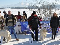 Owczarek Podhalański  Owczarek Podhalański - od lewej: TAJGA z Butorowego Wierchu, ATENA Spod Skałki Rogoźnickiej, BEZA EL-HALEM Czarna Pasja