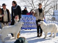 Owczarek Podhalański  Owczarek Podhalański - od lewej: LUNA DORA Michałowe Ranczo, COCA Alpejskie Zauroczenie