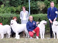 Owczarek Podhalański  Owczarek Podhalański - finaliści - od lewej: OSCYPEK Chosna, FINEZJA-GORZAŁKA Filos, FIGARO Algarobos, PIPI Klan Gaby, CZEREMCHA z Dunajeckiej Polany,  PRZYMILNY PERS Badziar