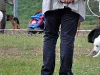 Owczarek Podhalański  Owczarek Podhalański - od lewej: CUDNY LOTOS Dolina Małej Panwii, KATTIE SCARLET Bajeczny Zakątek