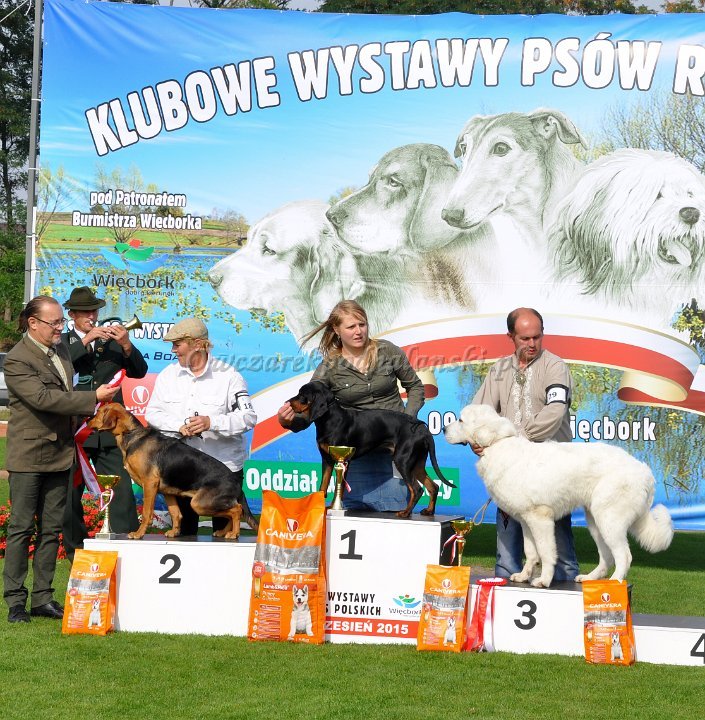 Owczarek Podhalański