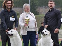 Owczarek Podhalański  Owczarek Podhalański - Pary Hodowlane - od lewej: MARCO POLO Alpejskie Zauroczenie, BACÓWKA Kontekst