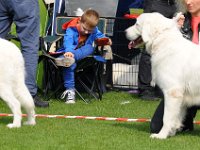 Owczarek Podhalański  Owczarek Podhalański - od lewej: MARGO Zagubione Marzenia, TAJGA z Miętustwa
