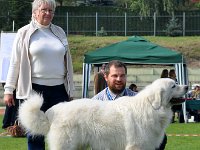 Owczarek Podhalański  Owczarek Podhalański - Najlepszy Weteran - PRZYMILNY PERS Badziar