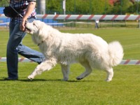dsc_9055.jpg