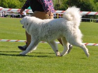 dsc_9066.jpg