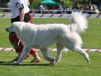 dsc_9073.jpg