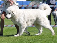 dsc_9092.jpg