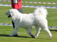 dsc_9103.jpg