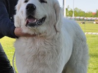 dsc_9114.jpg