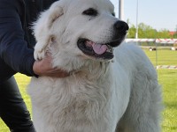 dsc_9115.jpg