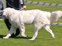 dsc_9120.jpg
