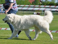 dsc_9143.jpg