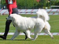 dsc_9149.jpg