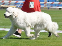 dsc_9154.jpg