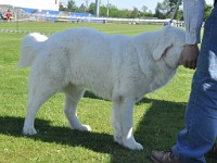 dsc_9159.jpg