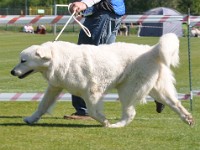 dsc_9163.jpg
