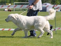 dsc_9169.jpg