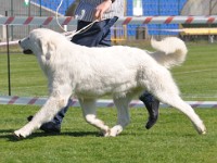 dsc_9173.jpg