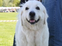 dsc_9174.jpg