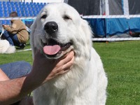 dsc_9182.jpg