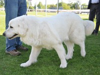 dsc_9184.jpg