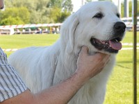 dsc_9192.jpg