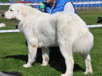 dsc_9197.jpg