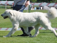 dsc_9199.jpg
