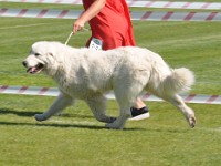 dsc_9219.jpg