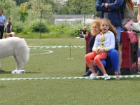 Owczarek Podhalański  Owczarek Podhalański - od lewej: KING OF HAPPINESS Alpejskie Zauroczenie, MASTER Andersit