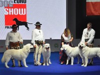 Owczarek Podhalański  Owczarki Podhalańskie na Europejskiej Wystawie Psów Rasowych Warszawa-Nadarzyn 12.10.2018 - Pokaz Ras Polskich