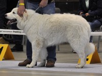 dsc_1426.jpg