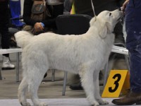 dsc_1430.jpg