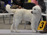 dsc_1433.jpg