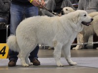 dsc_1436.jpg