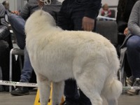 dsc_1439.jpg