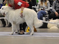 dsc_1440.jpg