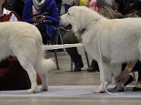 dsc_1442.jpg