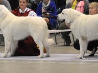 dsc_1443.jpg