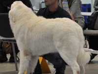 dsc_1451.jpg