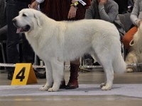 dsc_1457.jpg
