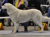 dsc_1459.jpg
